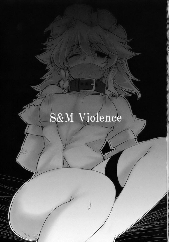 【東方　エロ同人】S&M Violence (2)