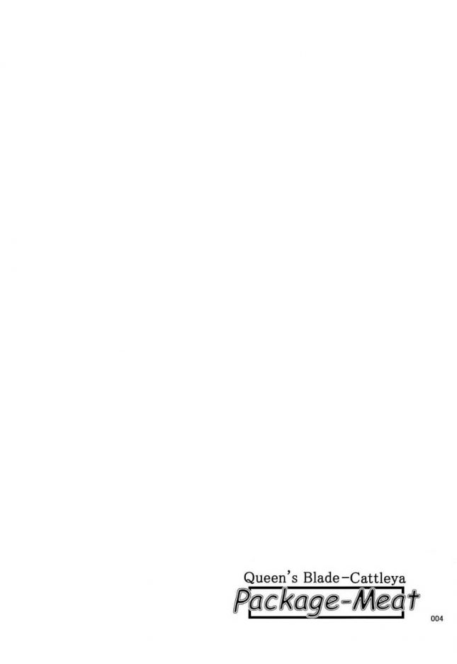 【エロ同人 クイーンズブレイド】爆乳カトレアさんにオチンポ触らせたらｗ【しあわせプリン堂 エロ漫画】(3)